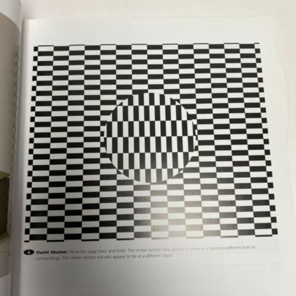 The Great Book‎ of Optical Illusions by Al Seckel 2002 Paperback Brain Teasers - Picture 7 of 11
